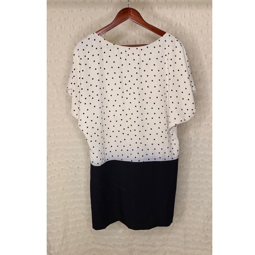 3 for $30 🌸 Zara | Polka Dot Crewneck Shift Dress